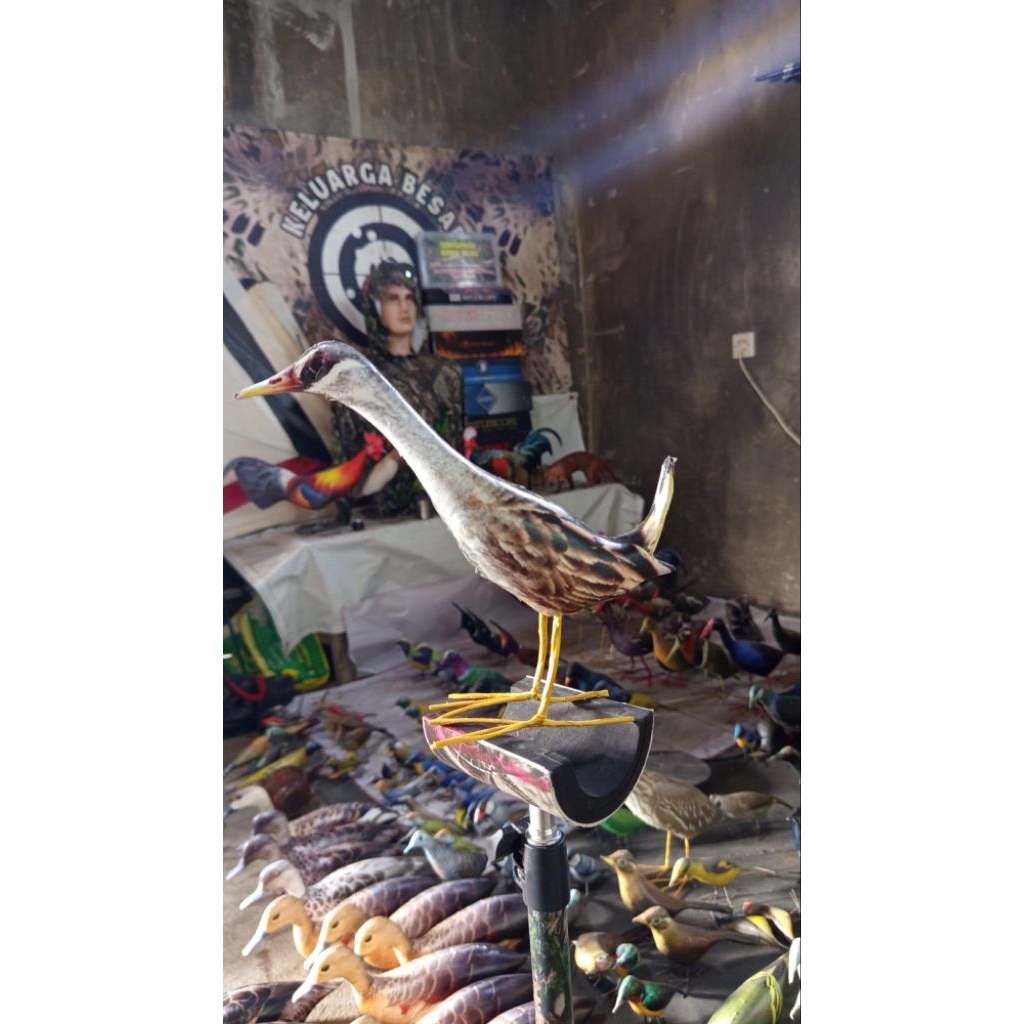 patung burung tikusan alis putih replika manuk tikusan jontrot burung tikusan alisputih mirip asli t