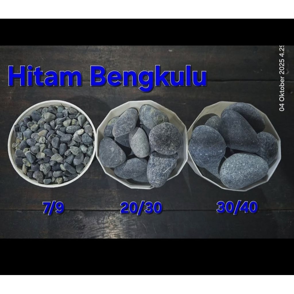 Batu Hitam Bengkulu (Koral Sikat, Batu Kacang, Batu Hias Taman, Batu Hias Aquarium)