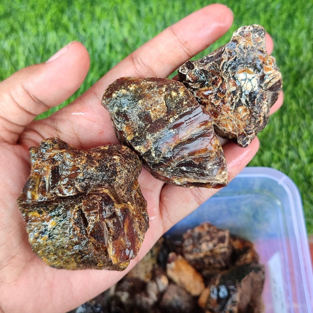 Getah batu katilayu asli naturalbrough amber katilayu merah