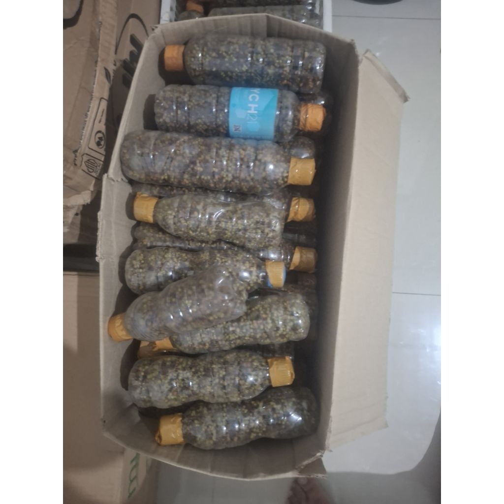 Andaliman khas batak 100gram