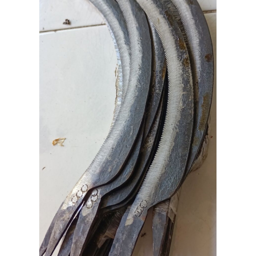 Arit gergaji, Arit padi, Arit rumput