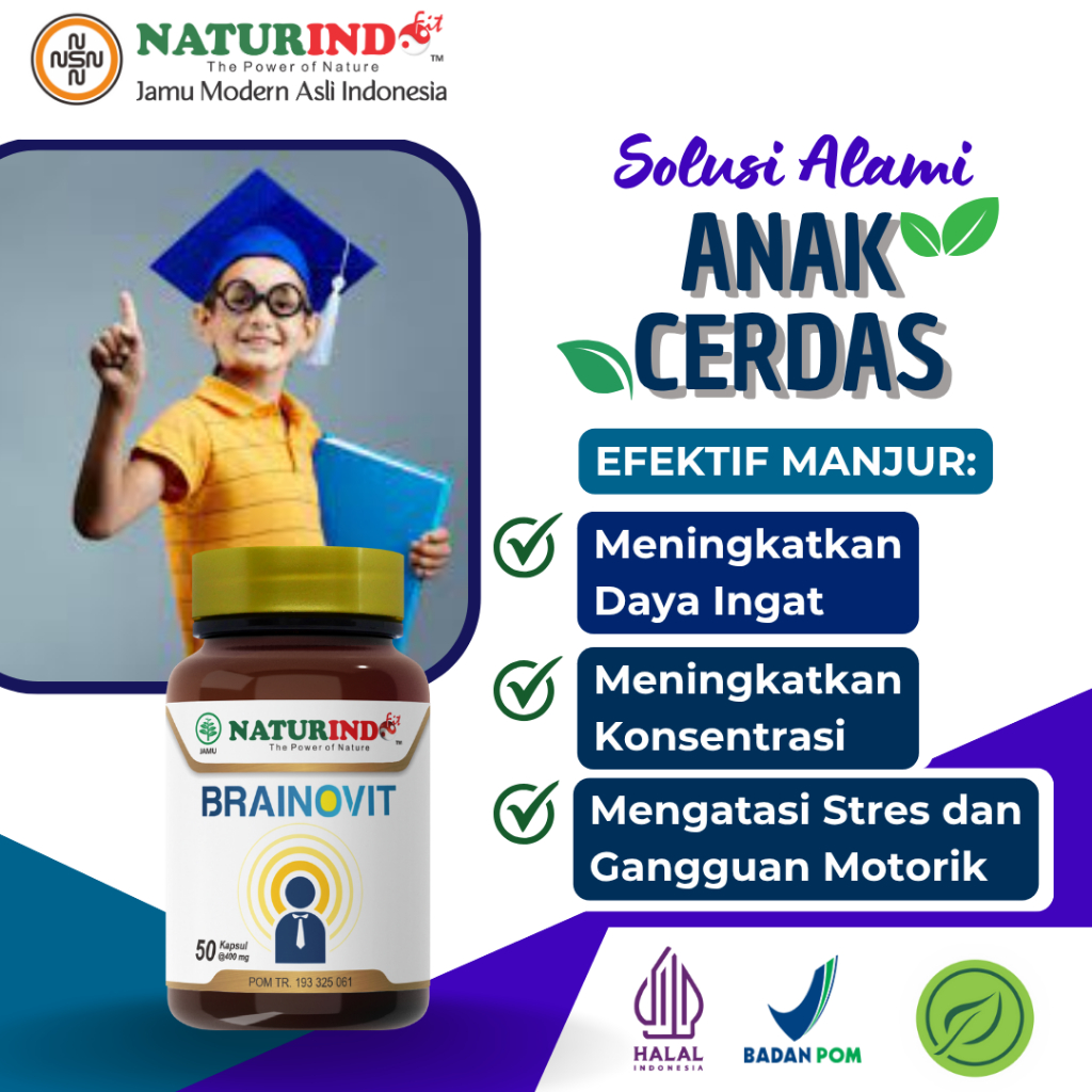 Vitamin Kecerdasan Otak Dan Daya Ingat Anak Dewasa Nutrisi Otak Obat Meningkatkan Daya Ingat Herbal 