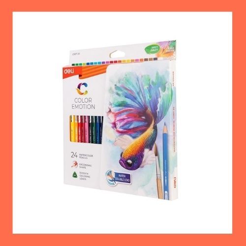 DELI PENSIL WARNA WATERCOLOR