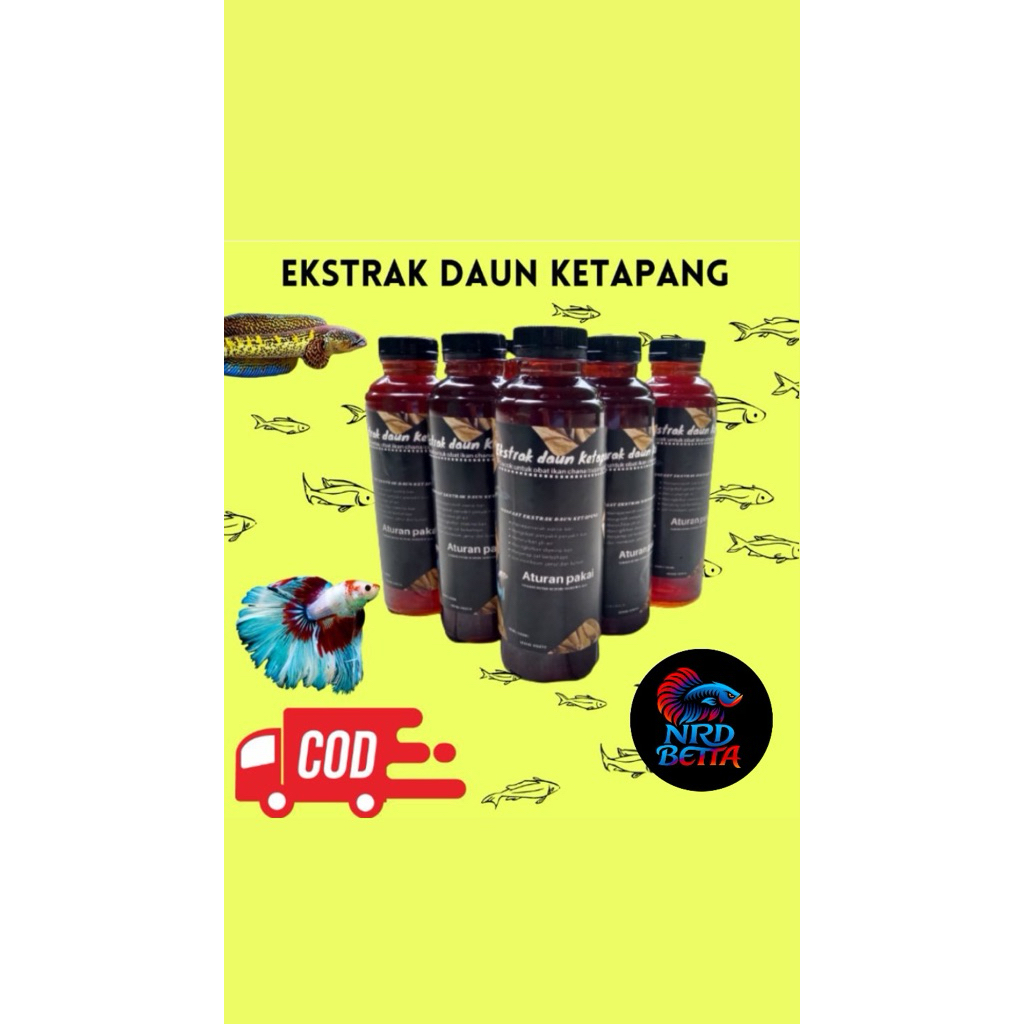 Produk LIVE | EKSTRAK OLAHAN DAUN KETAPANG LAUT | SUPER PEKAT