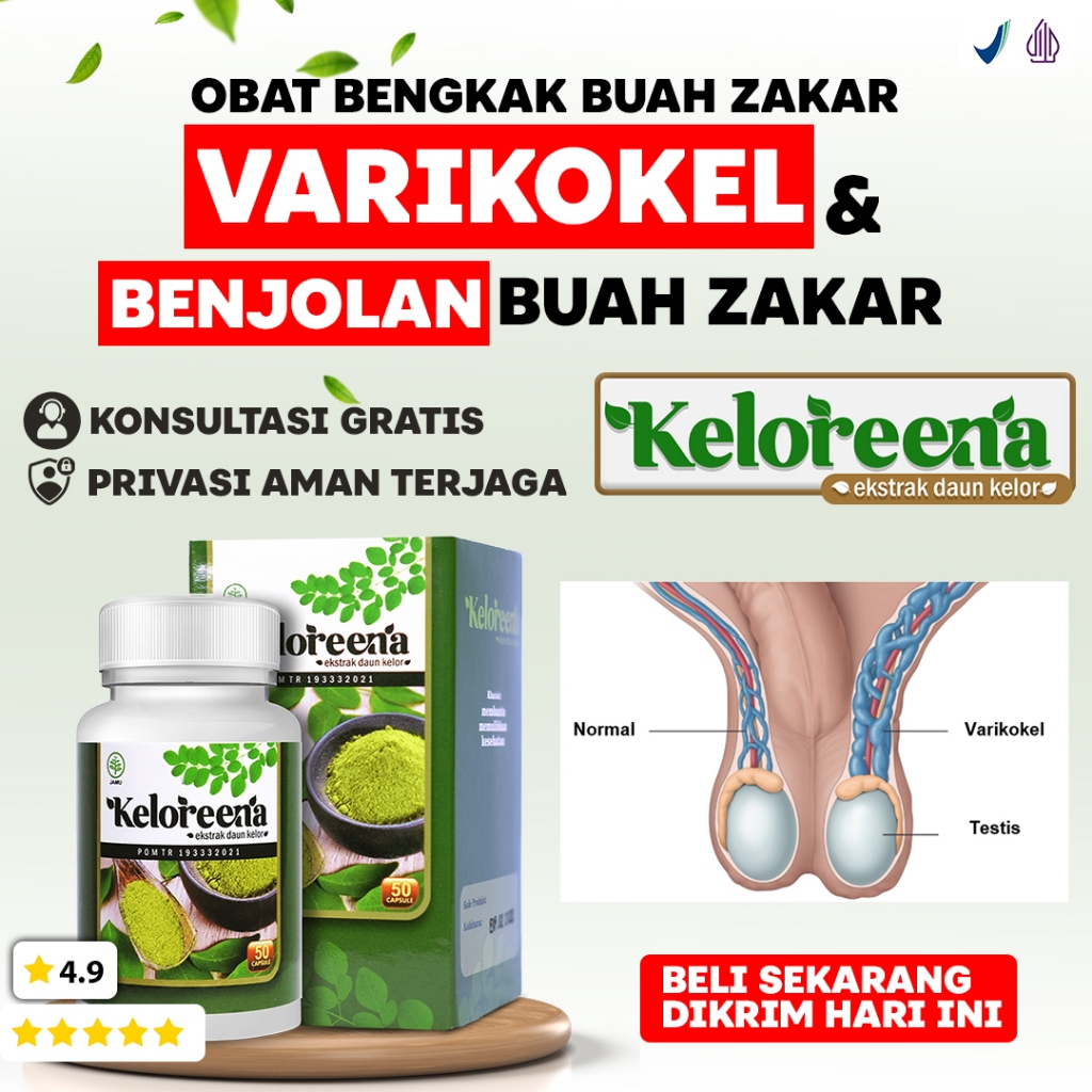 Obat Buah Zakar Bengkak Sebelah Nyeri Testis Bengkak Varikokel Buah zakar besar sebelah Buah Zakar N