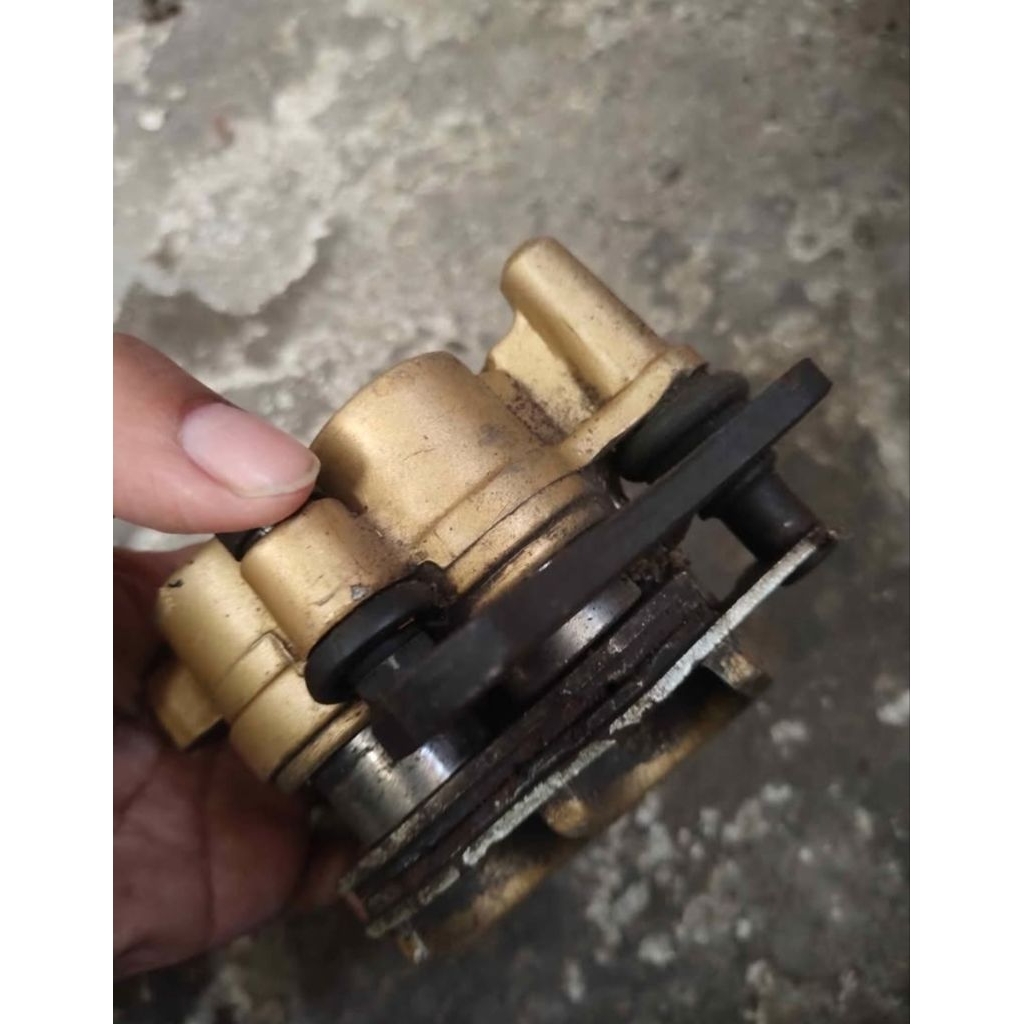 kepala babi satria fu