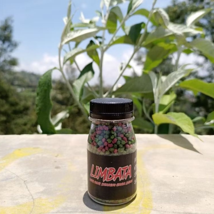 Pelet Limbata Super Color RKFish Aquatic Pakan Channa Limbata