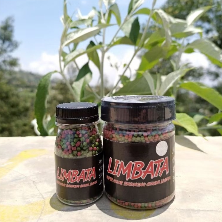 Pelet Limbata Super Color RKFish Aquatic Pakan Channa Limbata