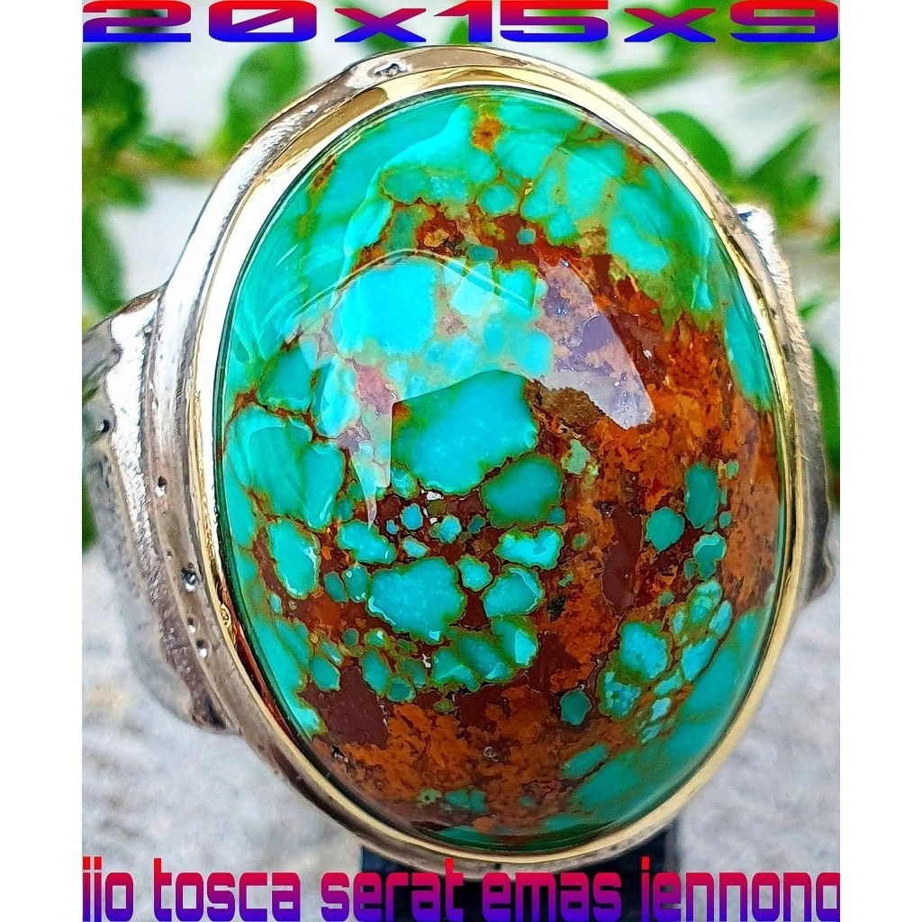 pirus Persia ceplok kuro