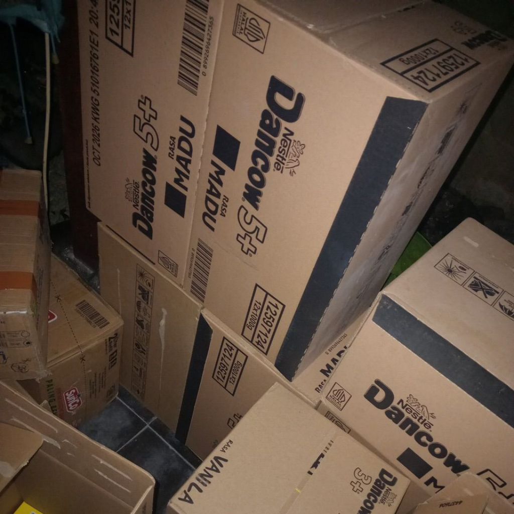 Susu Dancow 5+ MADU 12pcs/1Karton