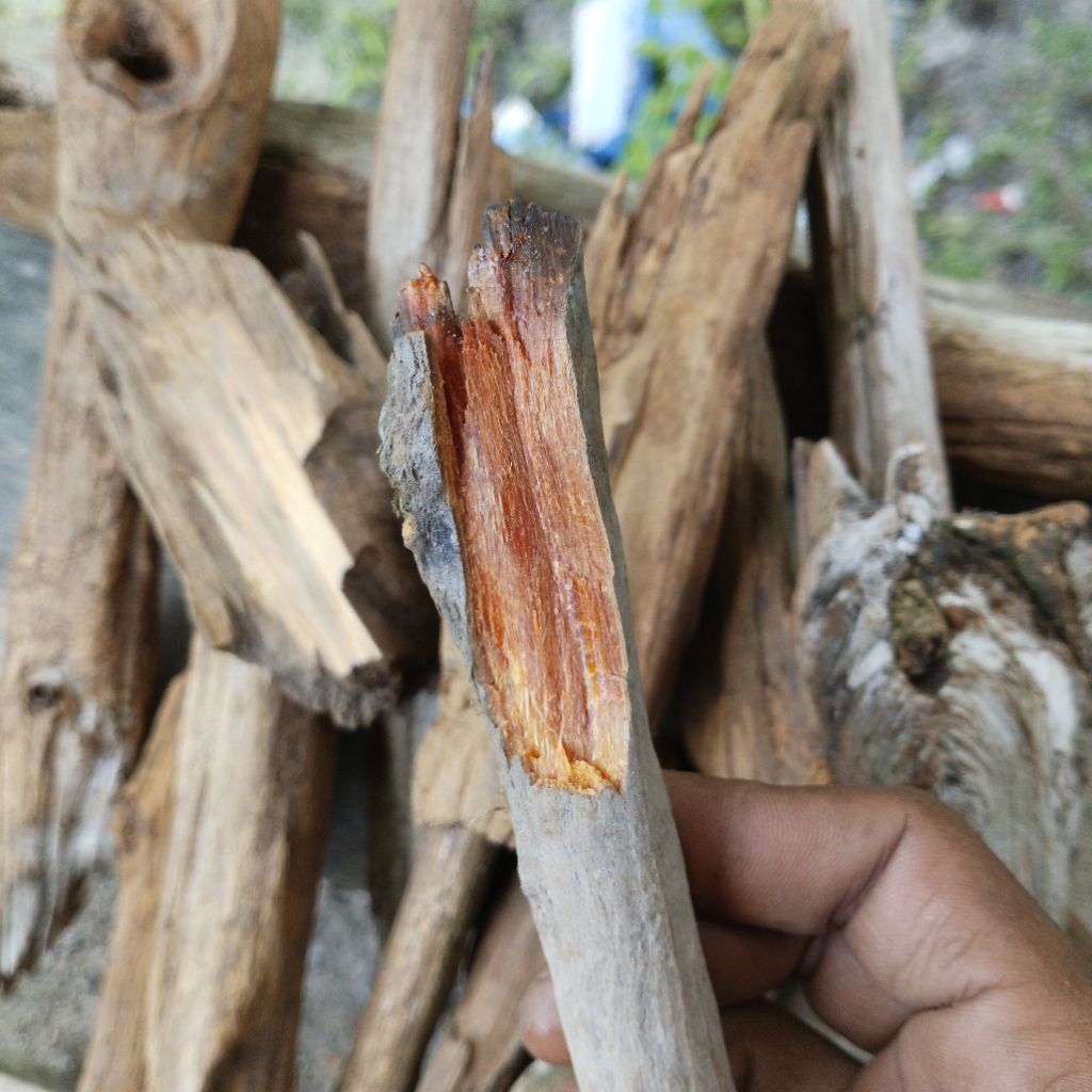 Kayu Gaharu Super Wangi Asli Kalimantan Original