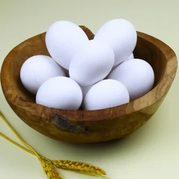 Telur Fertil ayam White leghorn