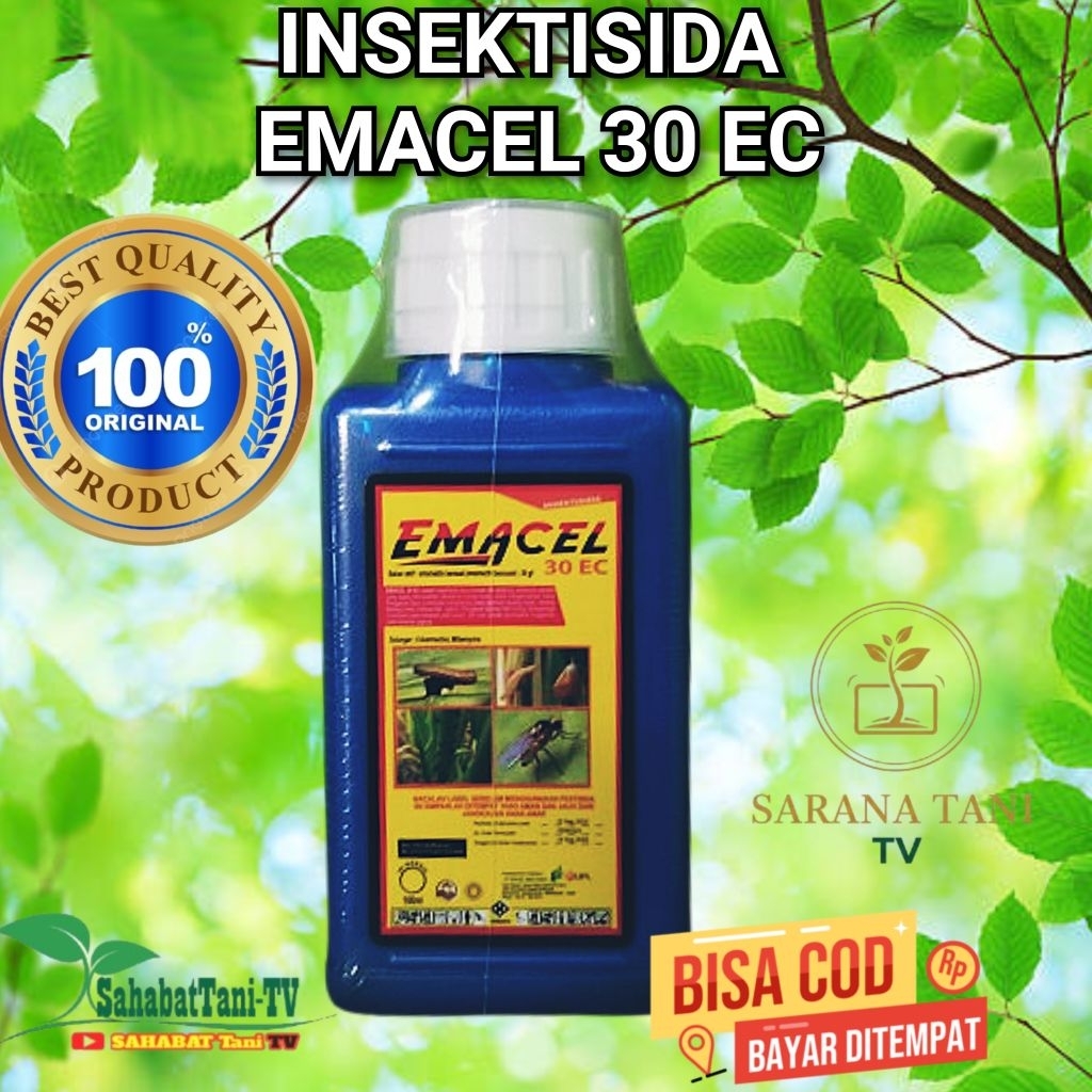 Insektisida EMACEL 30 EC isi 250 ml, berfungsi membunuh ulat kecil maupun ulat grayak yang menyerang