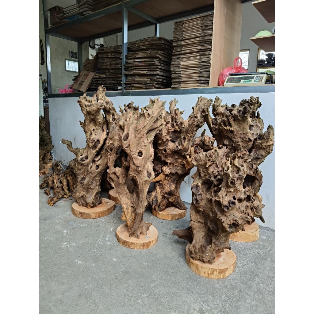 KAYU FOSIL JUMBO 2 PILIHAN UKURAN