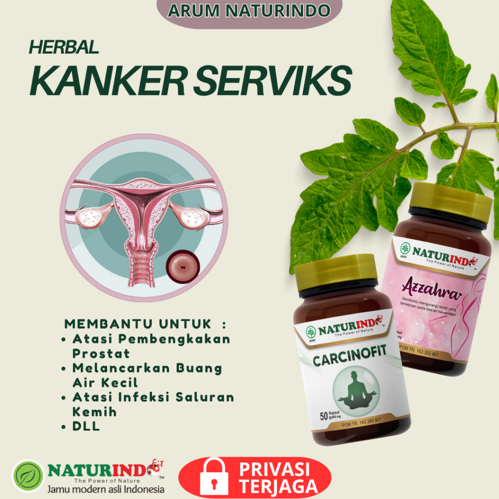 Obat Herbal Kanker Serviks Terapi Kanker Serviks