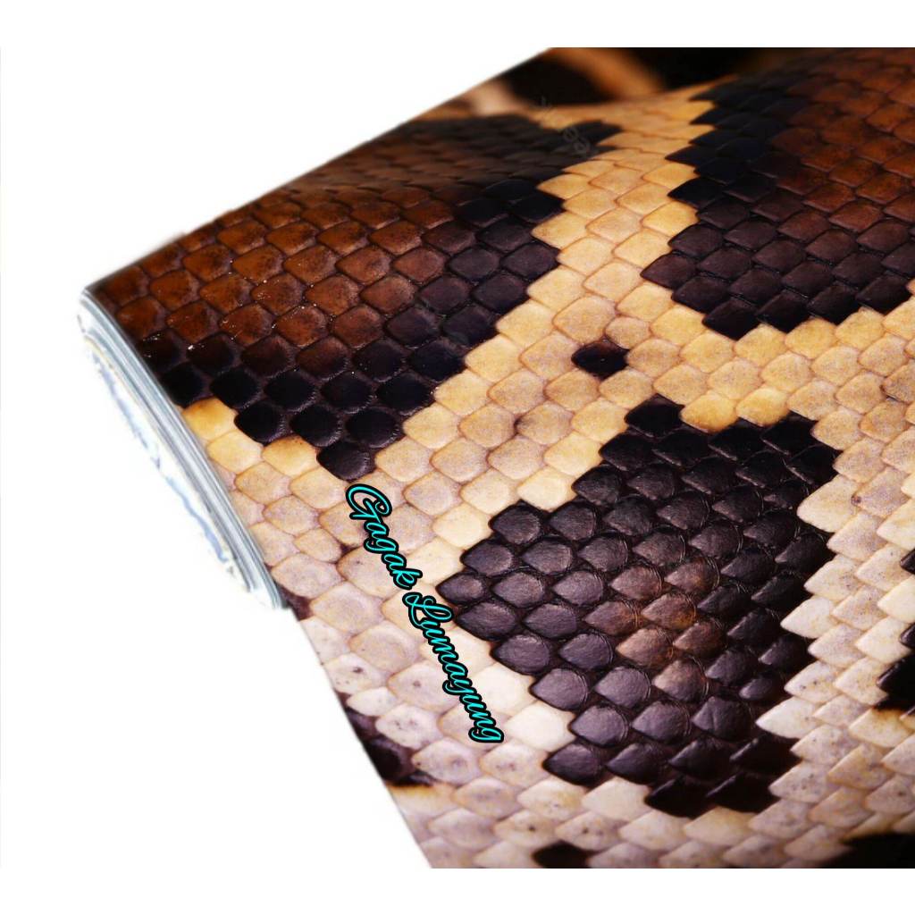 Stiker camo Motif Sisik Ular Albino² 100x50cm camo outdoor