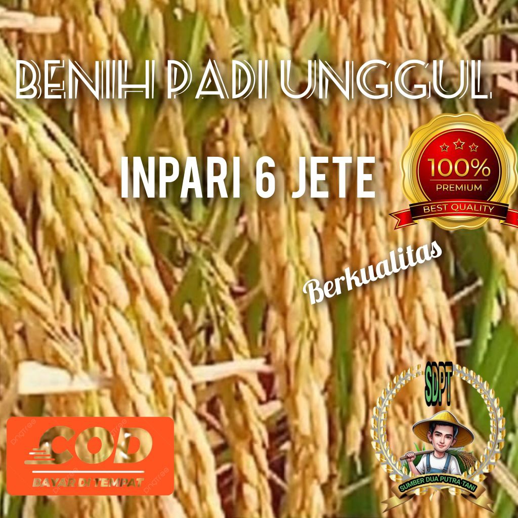 Benih padi Inpari 6 jete kemasan 1kg kualitas unggul