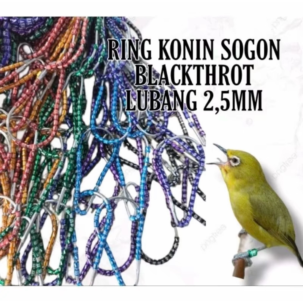 RING BURUNG Konin/Pleci/blacktrot/sogon/2,5mm