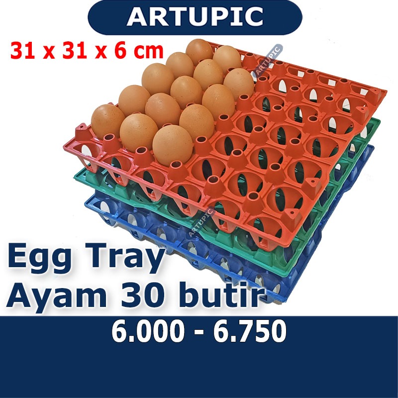 Egg tray ayam bebek 30 butir nampan tempat telur ayam bebek petelur plastik
