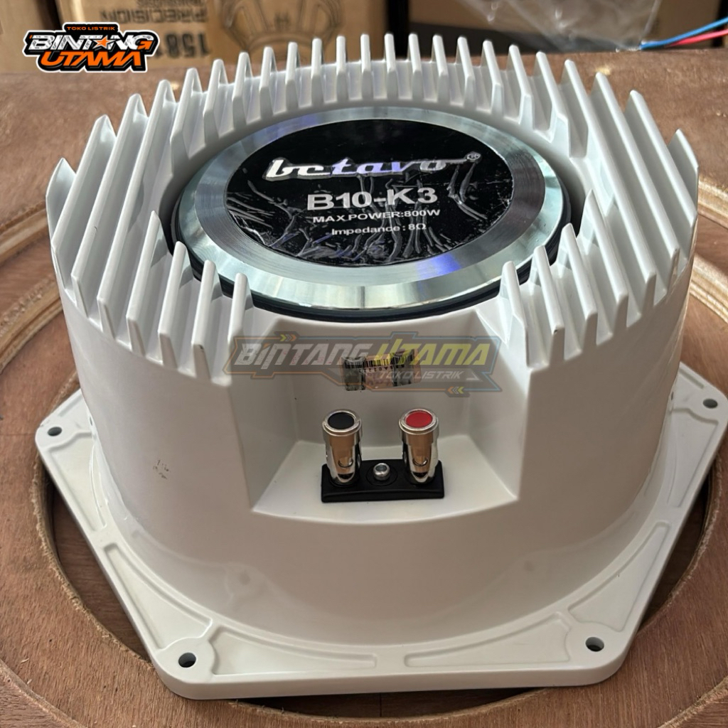 speaker betavo 10in b10 k3 vacum vakum B3-K3