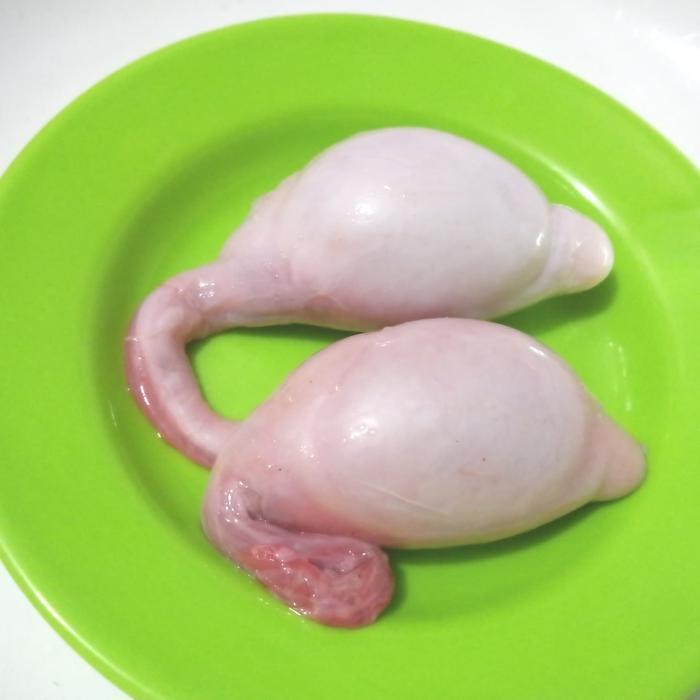 Torpedo Kambing 1 Pasang bersih