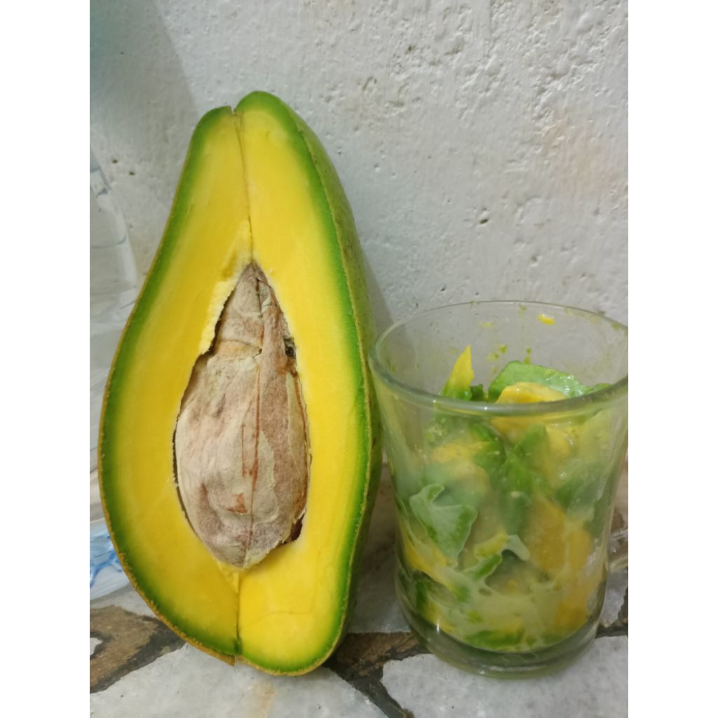 alpukat super mentega siger Lampung timur,
