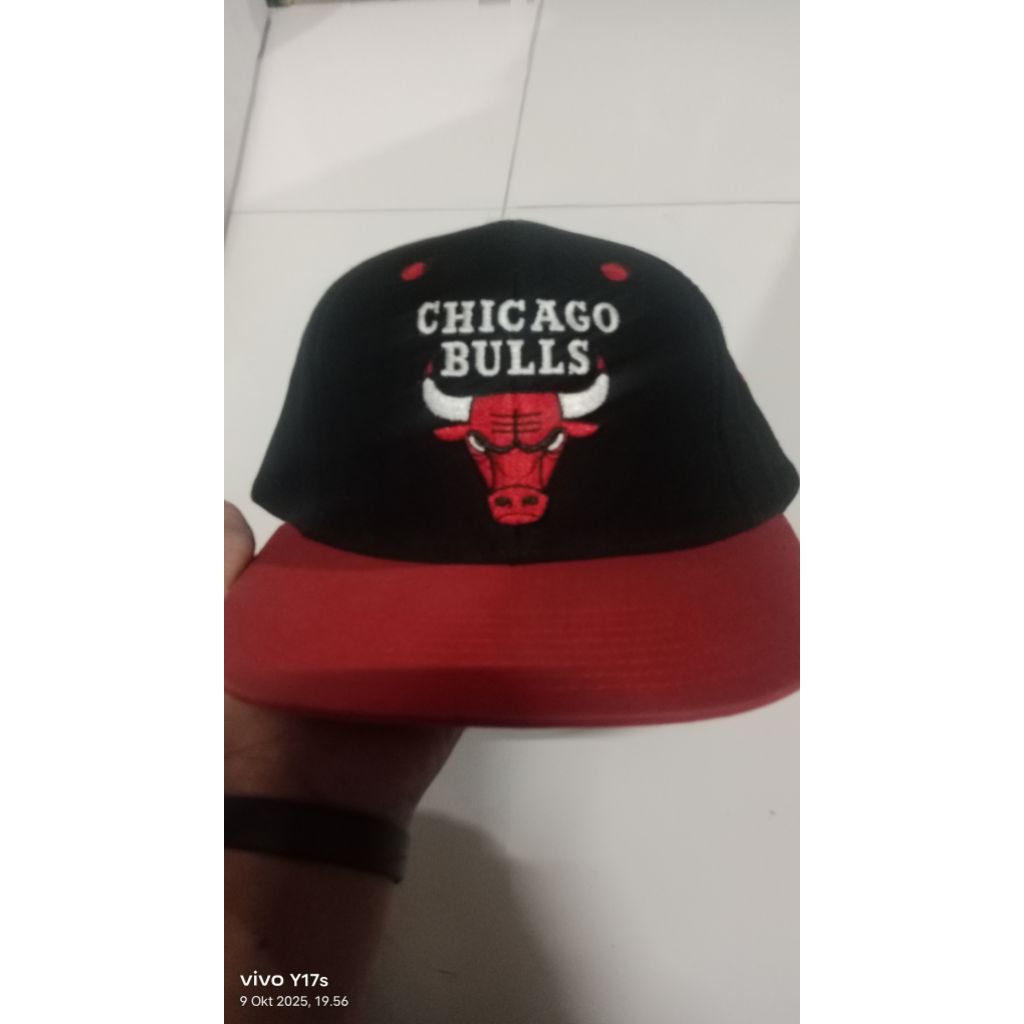 topiChicago bulls