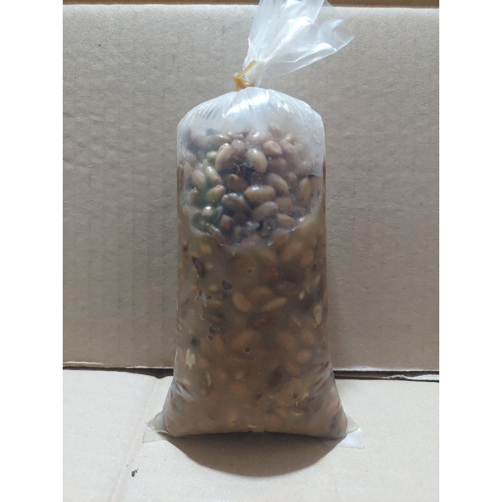 KACANG KROTOK PRESTO umpan bawalan