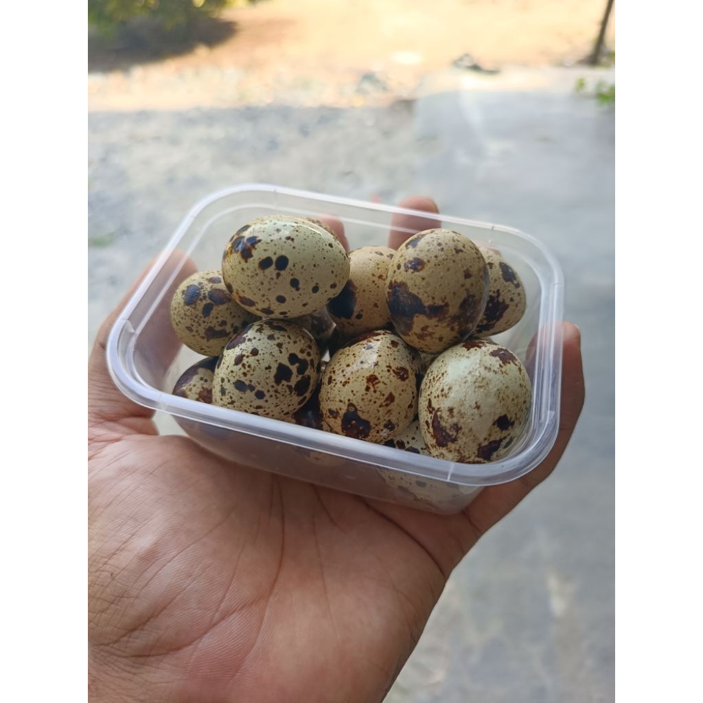 Telur Puyuh Rebus per Butir