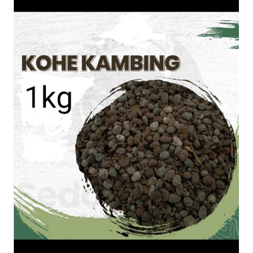 kohe kambing 1kg