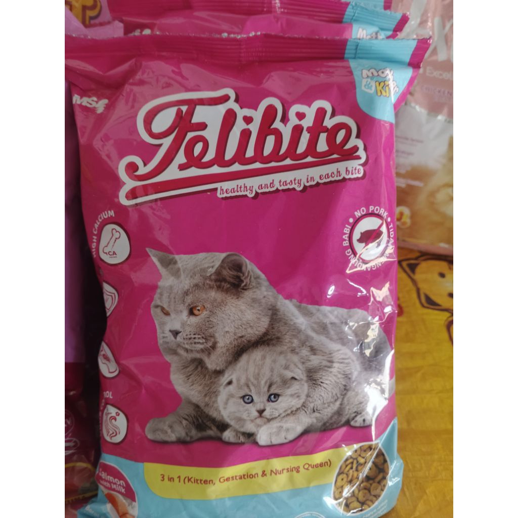 felibite mother kitten