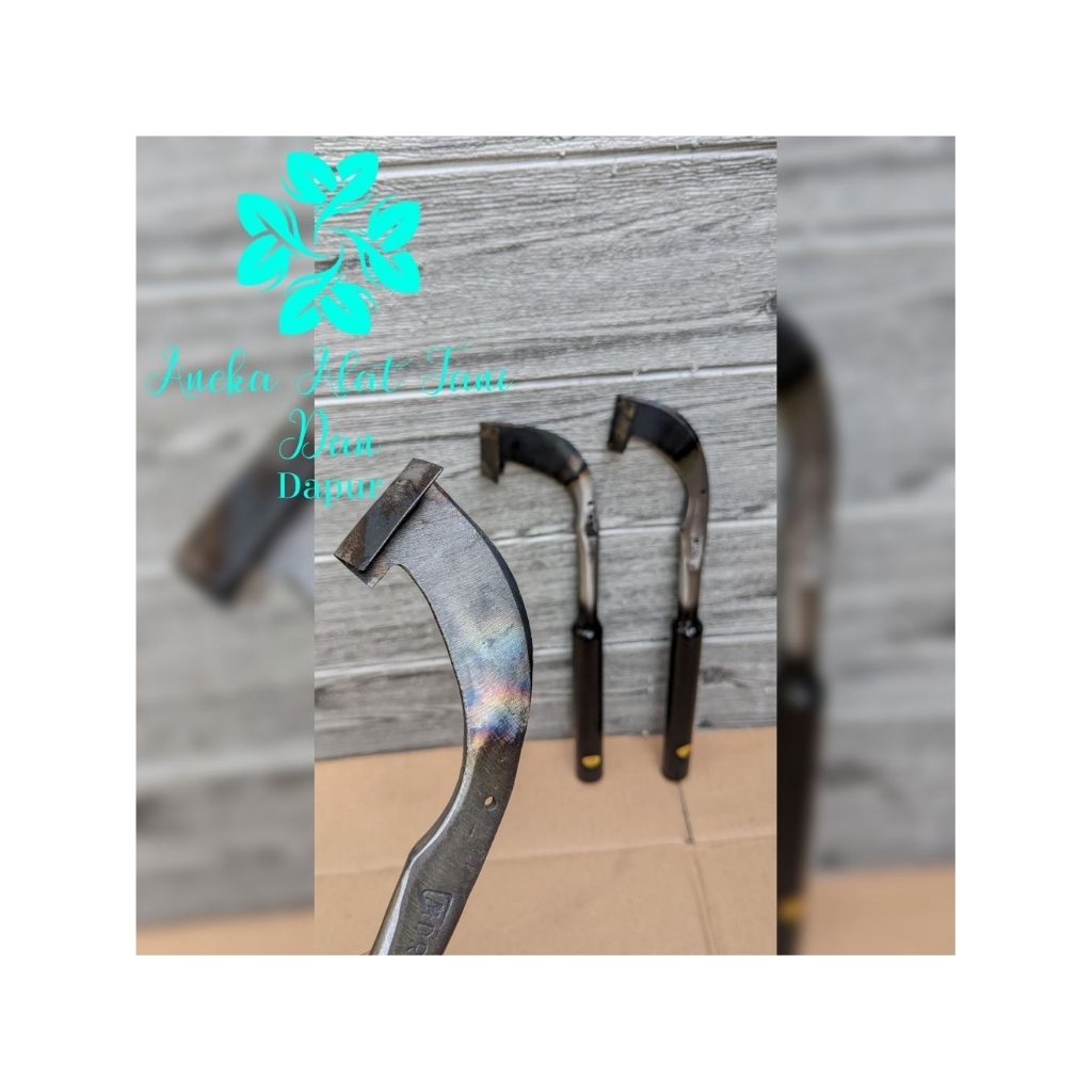 PISAU SADAP KARET THAILAND // ALAT SADAP KARET // PISAU SADAP // PISAU DERES KARET // PAHAT KARET