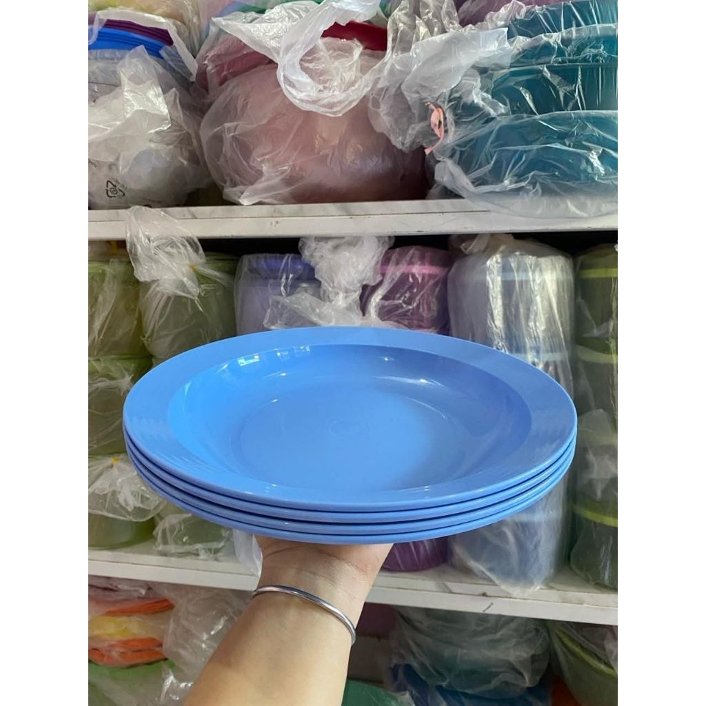 Large deep plate tupperware