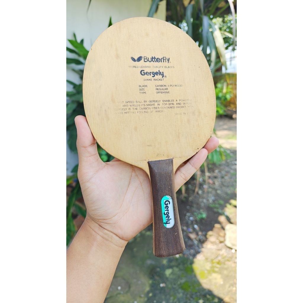 Butterfly Gergely Oldtag / Kupu Hitam / Tag Lama