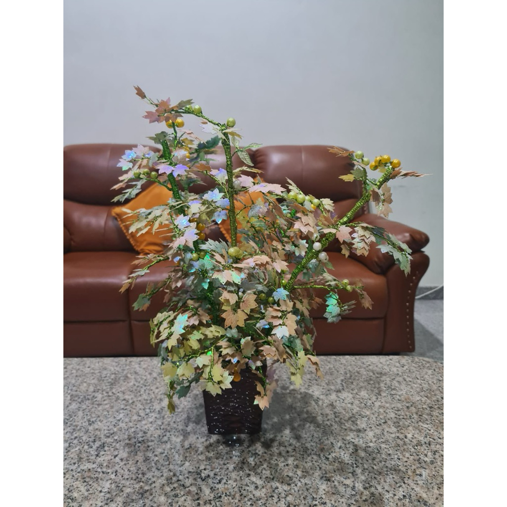 Pohon Bonsai Maple Pearl