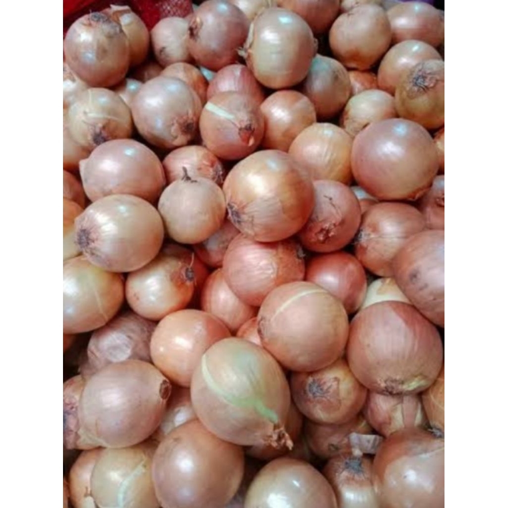 Bombay/bawang Bombay