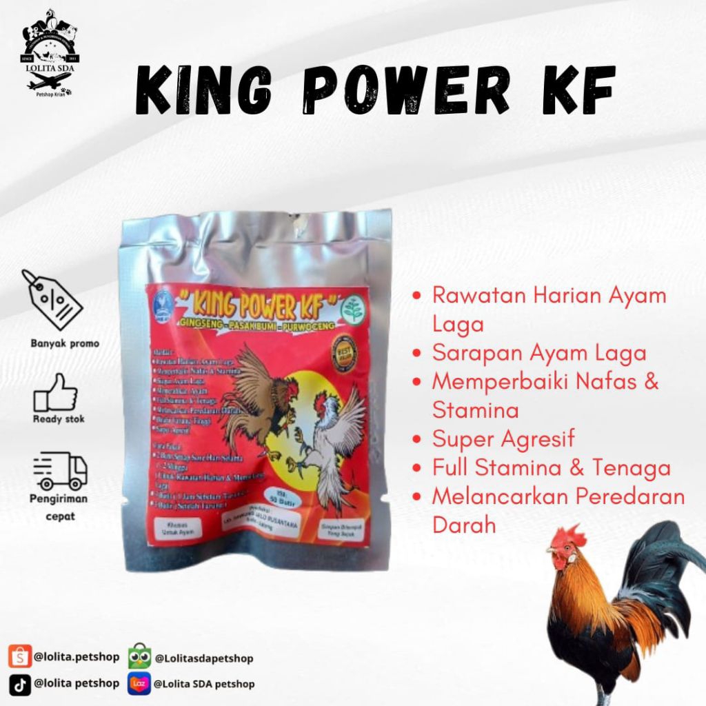 KING POWER KF SASET isi 50 butir - jamu ayam rawatanharian