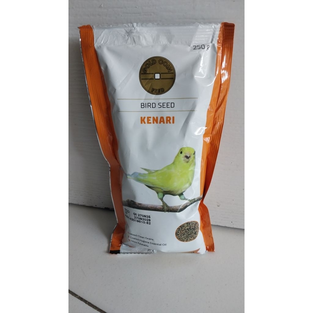 GOLD COIN KENARI
