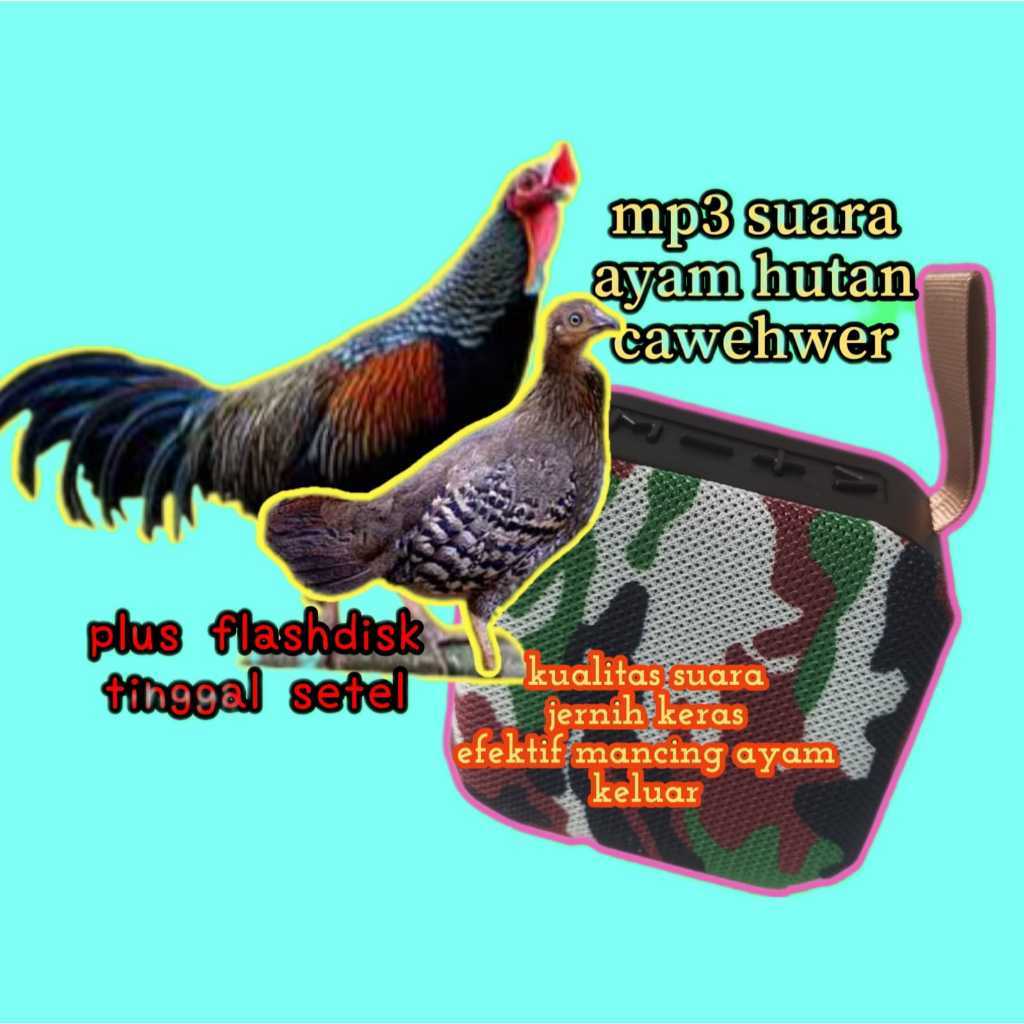 MP3+FLASHDISK SUARA PIKAT AYAM HUTAN BURUNG TEKUKUR RUAK RUAK TIKUSAN MATA MERAH PANCINGAN SUARA BUR