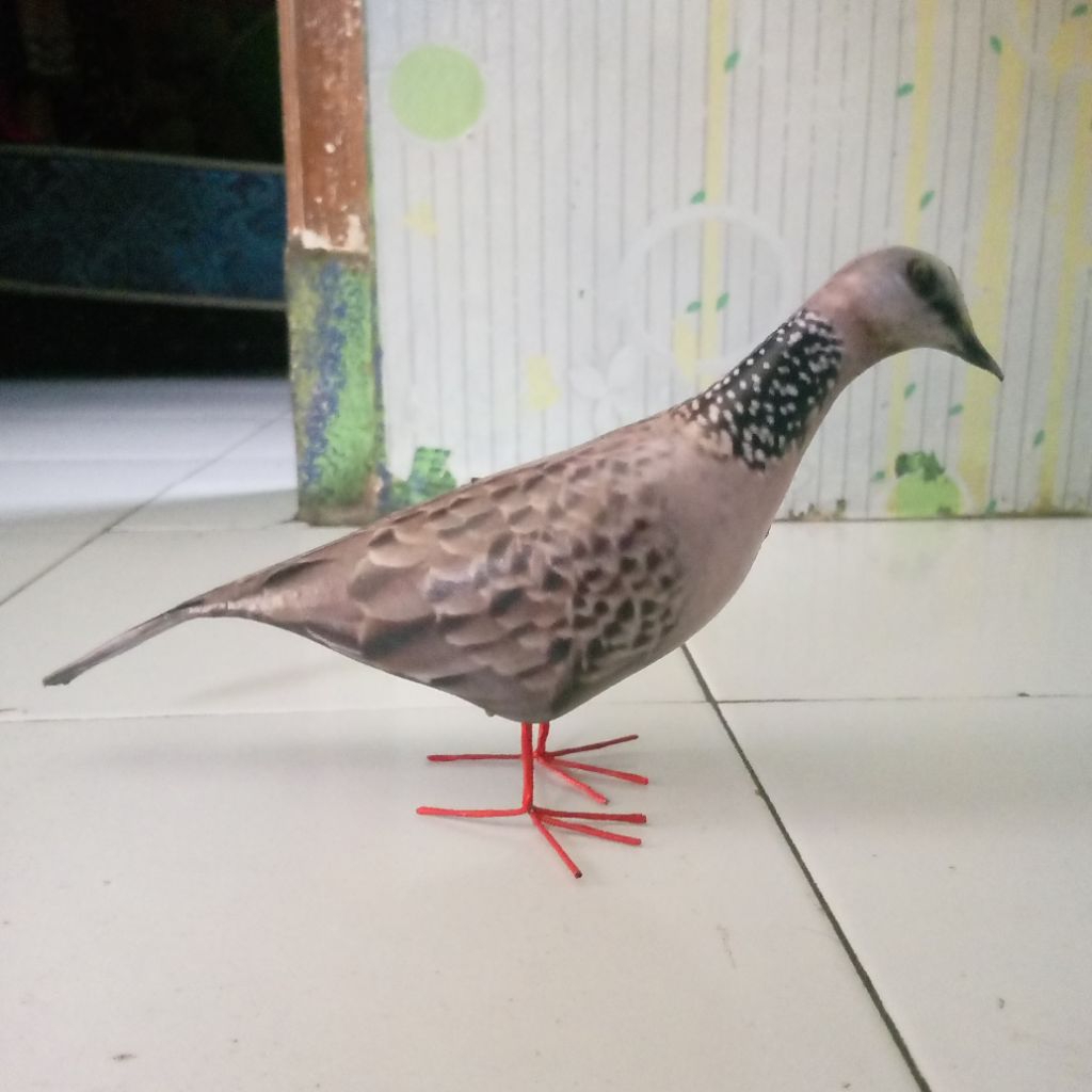 JONTROT/MAINAN BURUNG TEKUKUR