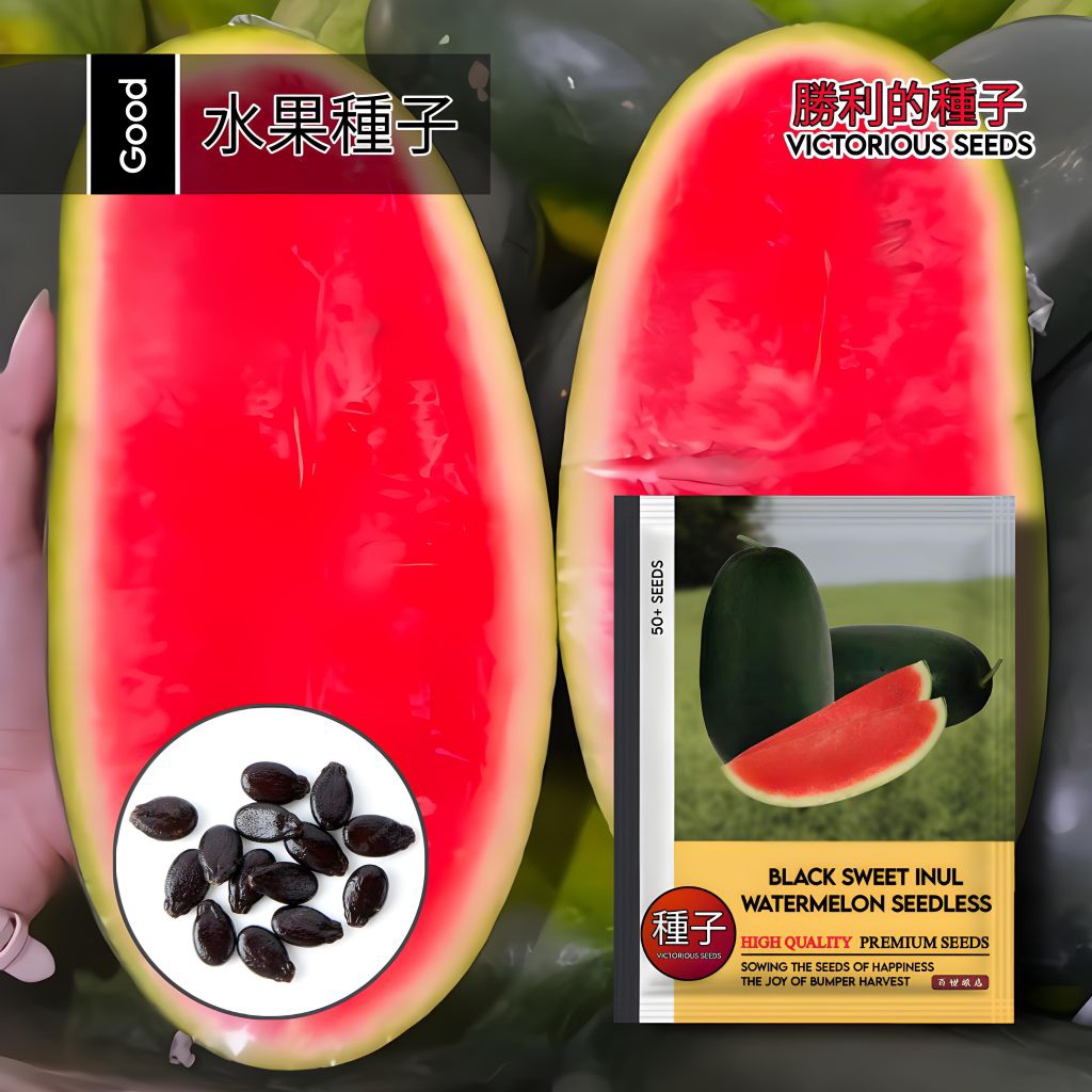 1 Pack (50 Butir) Benih Semangka Black Sweet Inul Non Biji F1 Kemasan Import / Semangka Inul