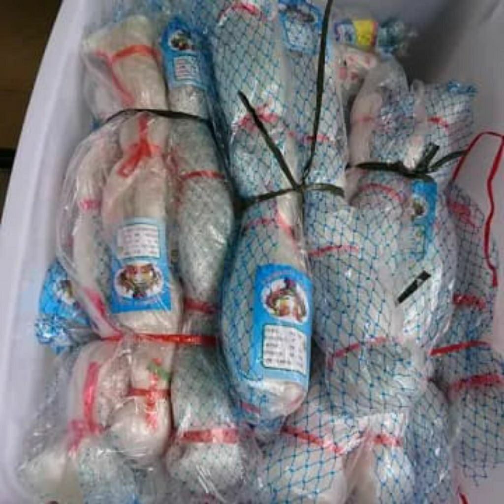 Jaring sawah penghalang burung pipit