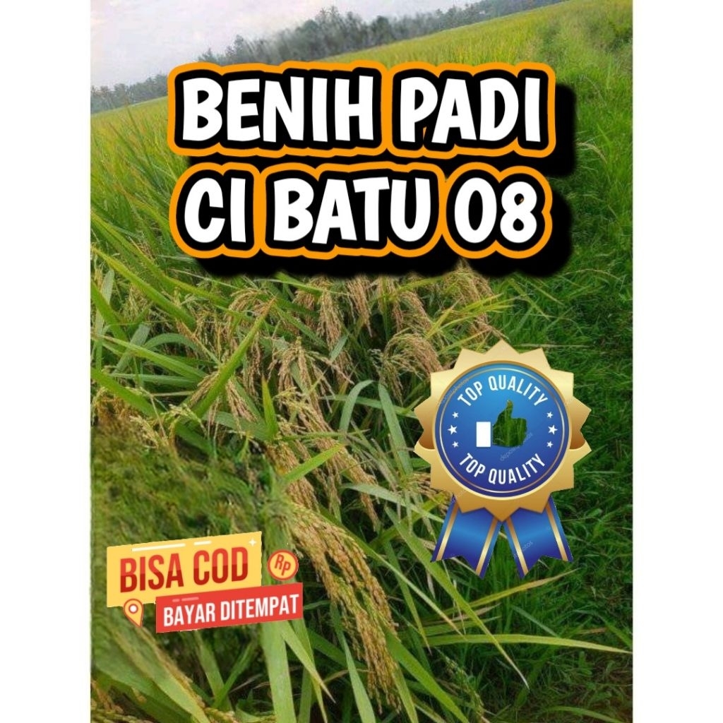 Benih padi Cibatu 08 kemasan 1kg