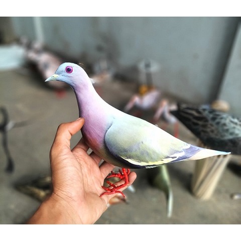 MIRIP ASLI JONTROT PEMIKAT BURUNG TEKUKUR PUNAI GOAK HITAM MANDAR BIRU SINTAR TIKUSAN RUAK RUAK / KA