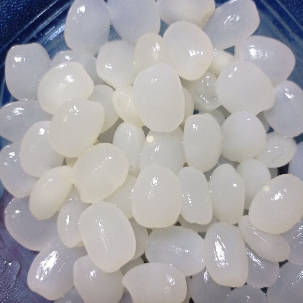 kolang kaling segar fresh kolang kaling 1kg jumbo