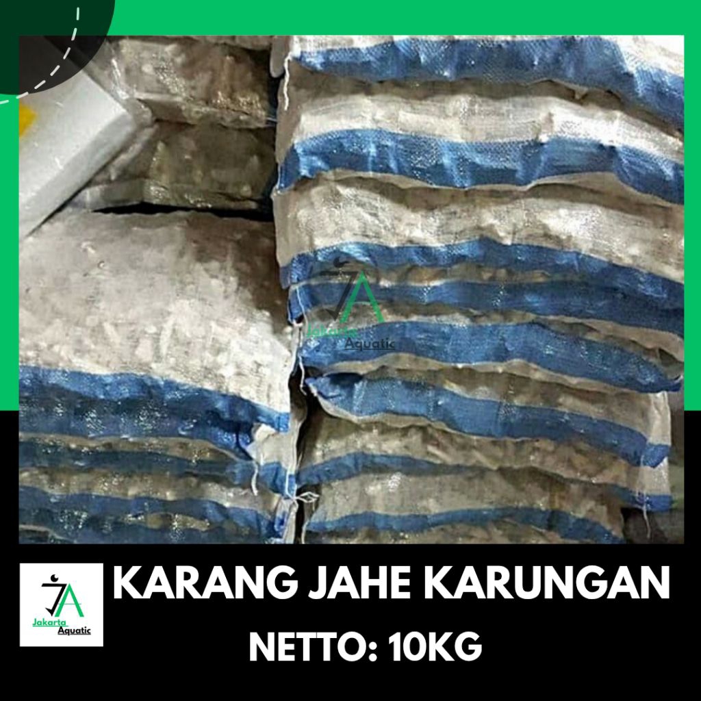10KG karang jahe karungan / karang jahe / batukarang jahe / batu karang / media filter karang jahe