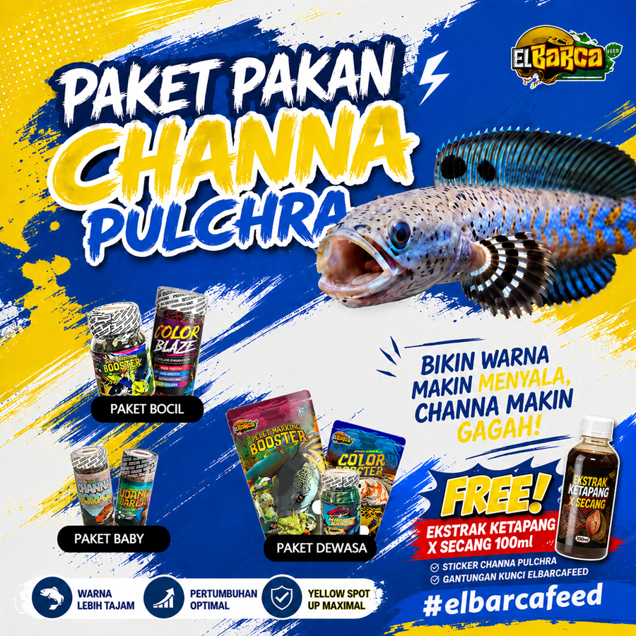 PAKET PAKAN CHANNA PULCHRA (Push Sirip Fin Ekor Biru, Yellow Spot, Full Dot) + Sticker Channa Gratis