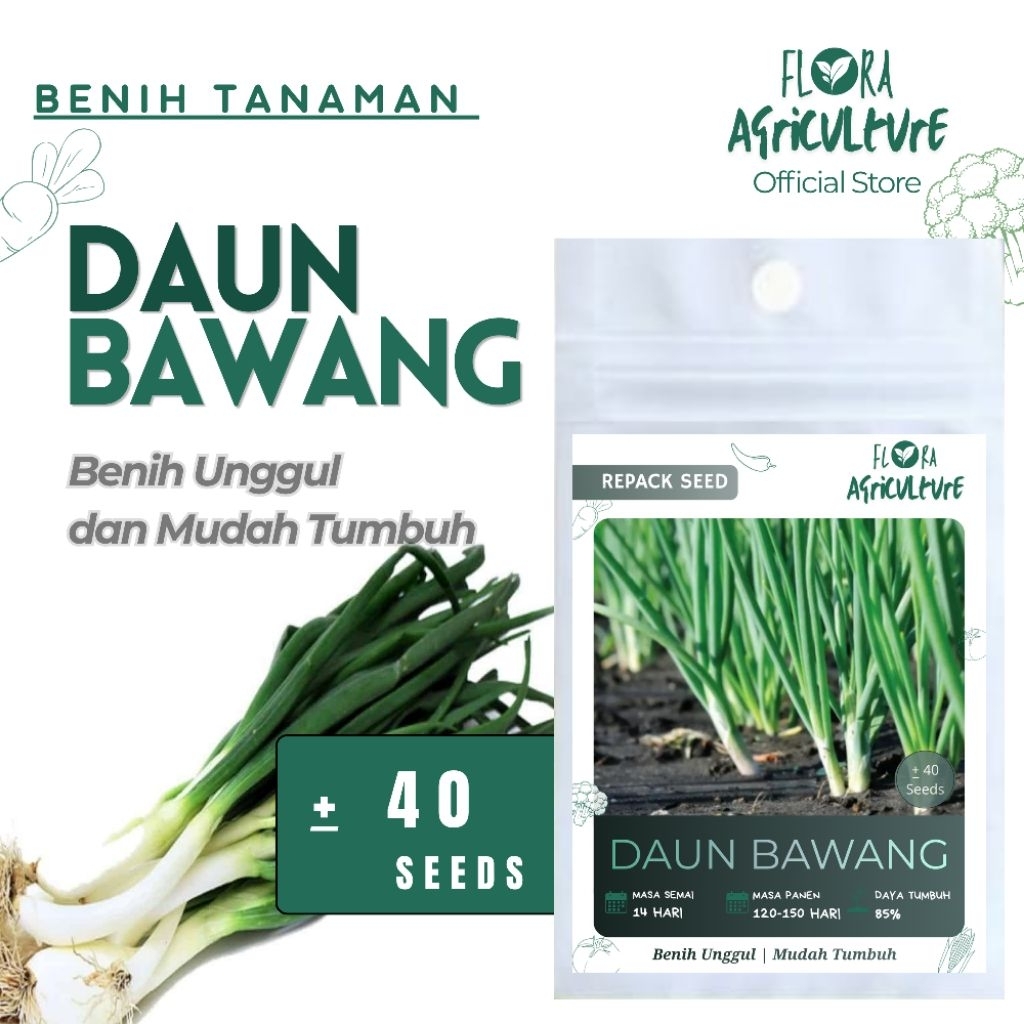 Benih Daun Bawang