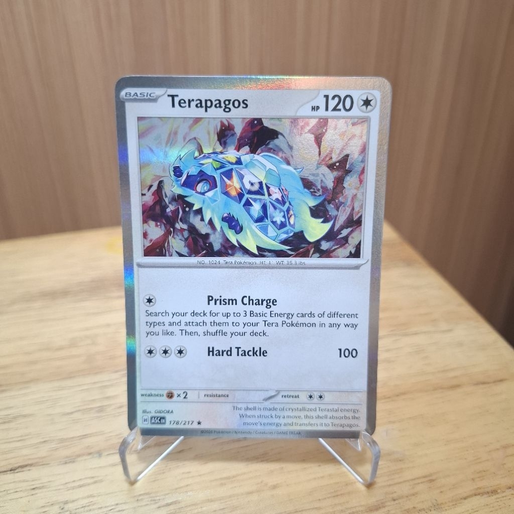 Terapagos ASC EN Holo - Kartu Pokemon Original
