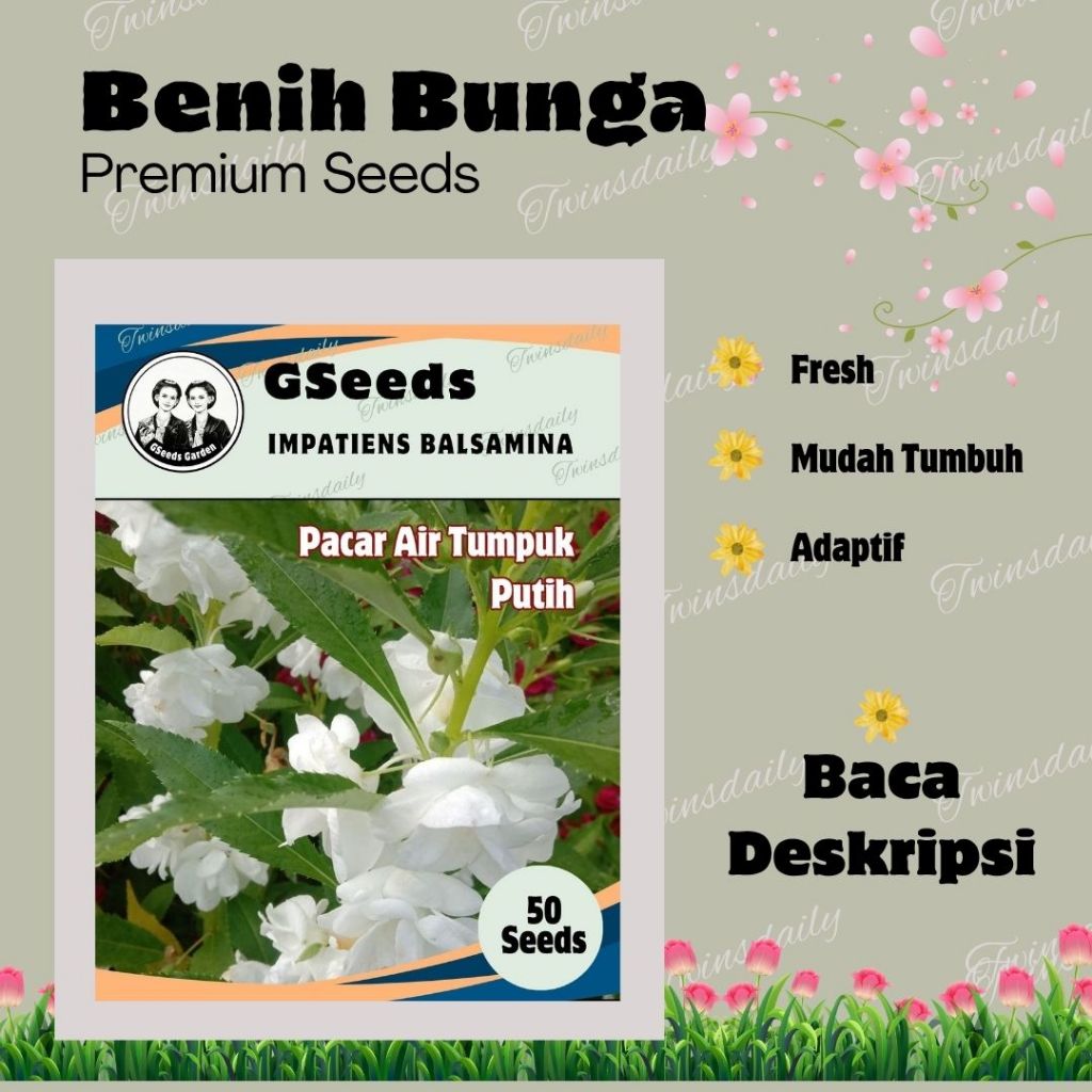 Bunga Pacar Air Tumpuk Putih